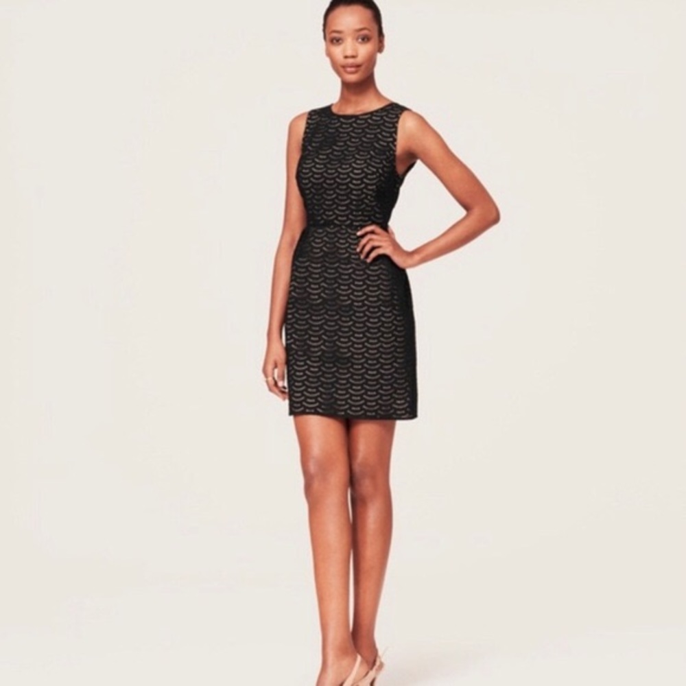 LOFT Little black dress with scalloped eyelet lace